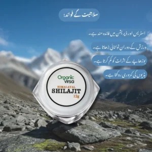 Himalayan Shilajit - Image 3